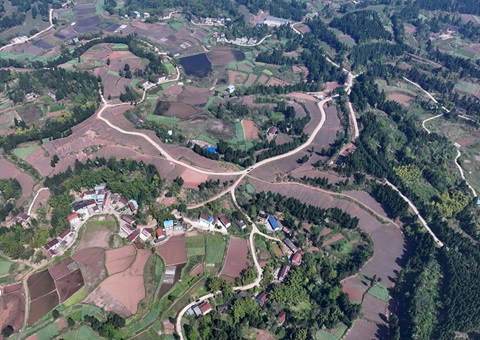 内江市东兴区局周全做好耕地；；； 全力做好用地包管