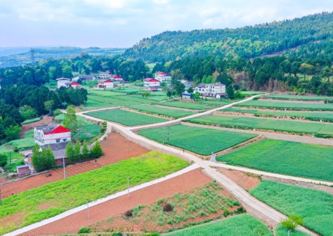 广元市推行“卫星田长”科技助力精准保；じ