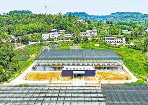 重庆：：：数智赋能&nbsp;&nbsp;土地结出“智慧果”