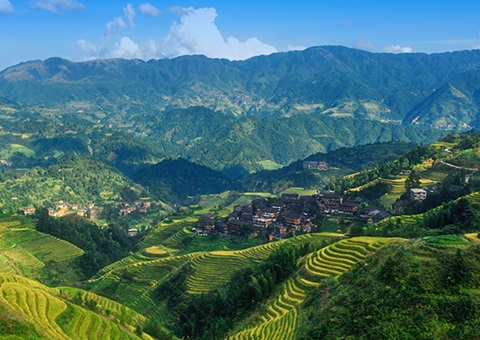 一次性200万元！&nbsp;广西在天下率先实验林权挂号财务资金激励