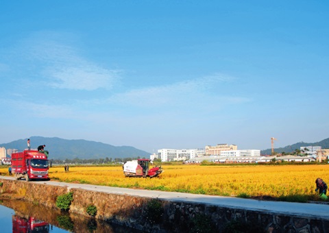 瞭望｜广东：：：“耕”出新动能 “连”出好风物