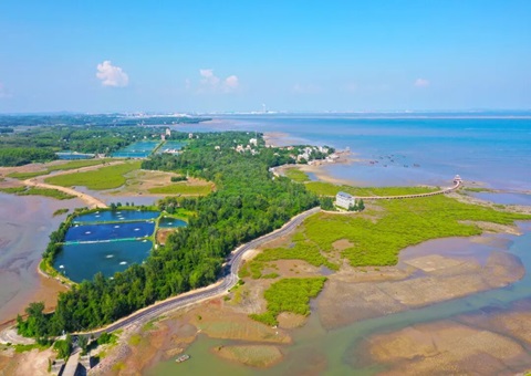 广西北部湾畔：：墟落妄想引领古渔村“蝶变”
