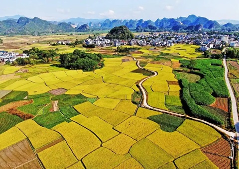 强化“指挥棒”作用&nbsp;&nbsp;柳州市发放500万元耕地；；；ぁ凹だ彀