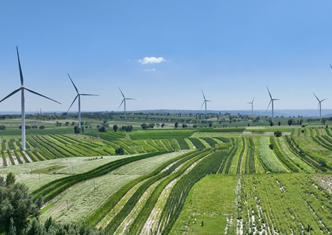 陕西省榆林市定边县：：：领土空间妄想“一张图”实现营业“一站式”高效办理