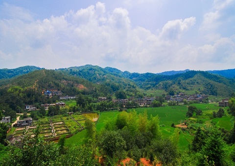 江西省赣州市石城县：：：紧扣“三提三用”事情主线 铸造自然资源铁军