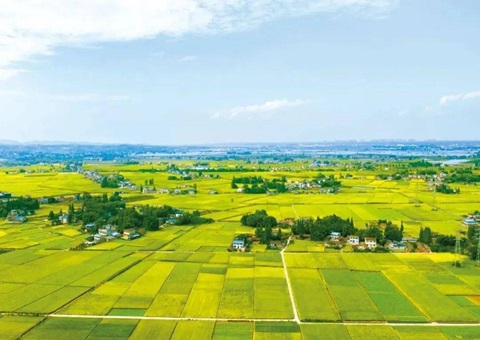 四川省眉山市局“三措并举”提升储备土地治理效能 筑牢高质量开展土地要素包管
