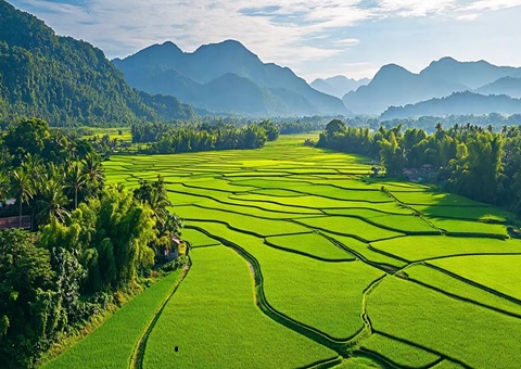 “自然资源+税务”协同共治！！！崇左筑牢耕地；；び胨笆铡八老摺