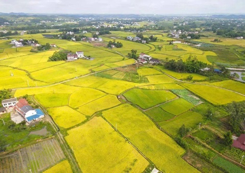 四川省遂宁市局多行动增强暂时用地审批服务与治理