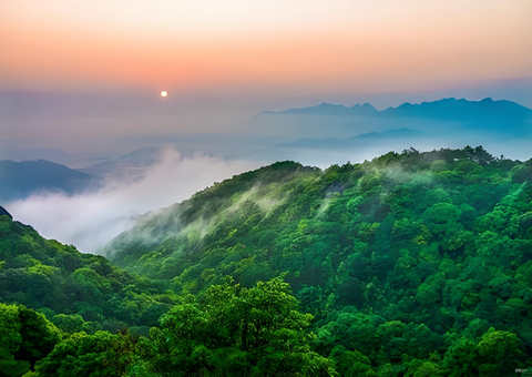 福建森林提质四放肆措打造黎民“幸？？可健