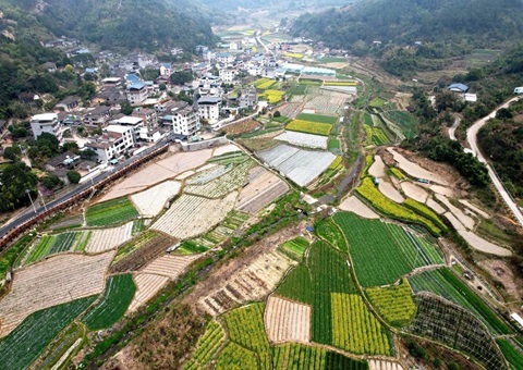 从闲置荒地到工业热土！！！晋江3入市项目挂牌成交