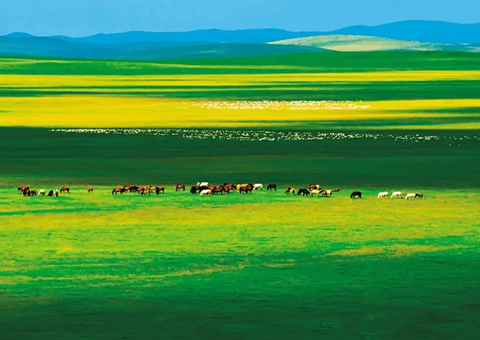 内蒙古：：：绘就绿色开展画卷守护北疆绿水青山