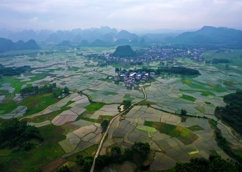 重磅释放！玉林市29宗焦点地块集中推介解锁投资新商机