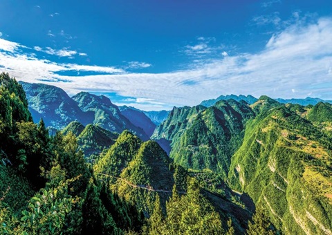 四川省建设“天府森林四库”现场推进会召开? 聚力打造天下“森林四库”建设树模省