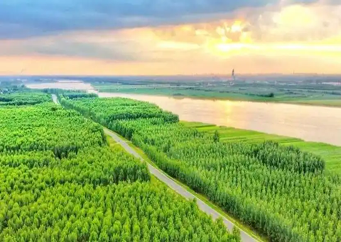 山东郓城开展林下经济走出共富路