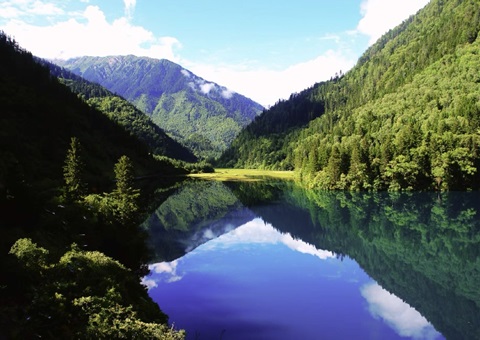 预计2025年底，，四川省“林粮”产量1500万吨、、、产值1800亿元