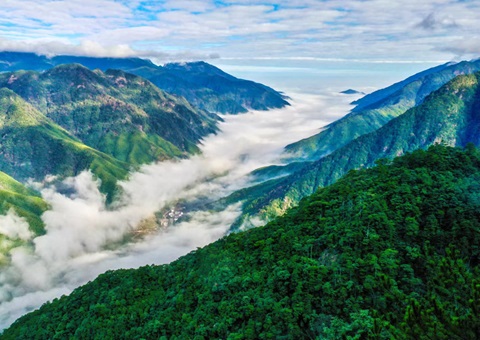 “组合包”，，，流通生态产品价值转化