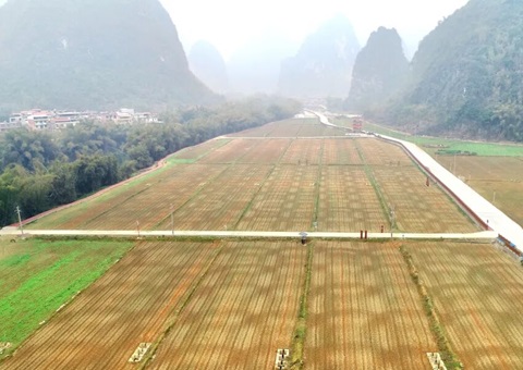 广西首批300万元全域土地综合整治奖励性津贴兑现   推动“依效奖补、、以评促建”落地