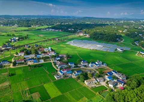 湖南：：靶向发力盘活存量土地资产<br>为206家机关企事业单位定制处理方案，盘活土地2.6万亩