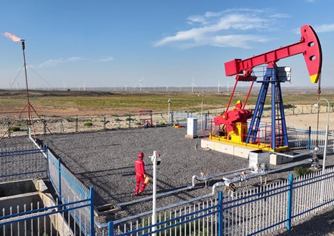 宁夏纵深推进新一轮找矿突破战略行动，，，实验一批煤层气、页岩气、煤炭等勘查项目