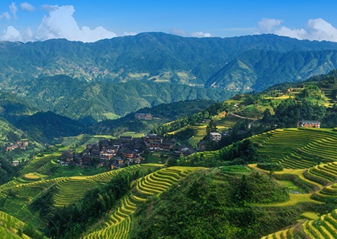 津贴200万元！广西实验林权挂号财务资金激励