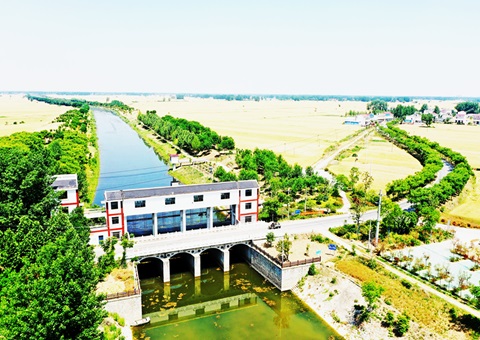 淮北市：“聘”好驻镇妄想师 做优“陪同式”墟落妄想服务