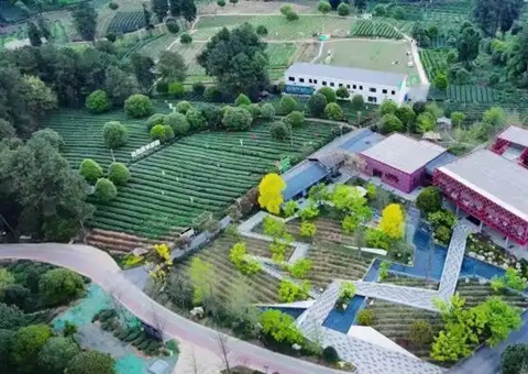 林间“种”出科创空间：：：四川蒲江用生态颜值撬动经济价值