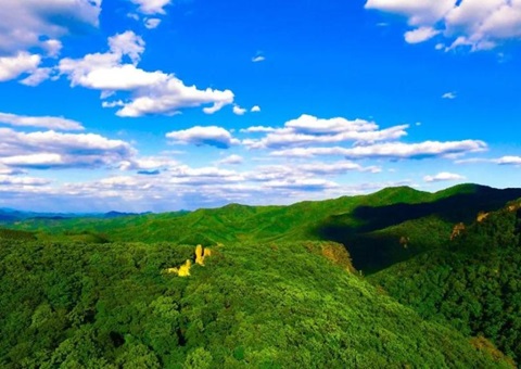 辽宁：：林草领域获80亿元信贷支持