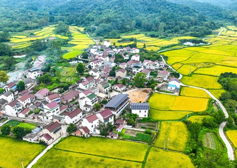 安徽省自然资源厅：：130个州里耕地保；ばЧ怀 获赔偿激励1.3亿元