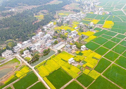 四川省委办公厅、、、省政府办公厅印发《关于深化农村土地要素市场化刷新的意见》