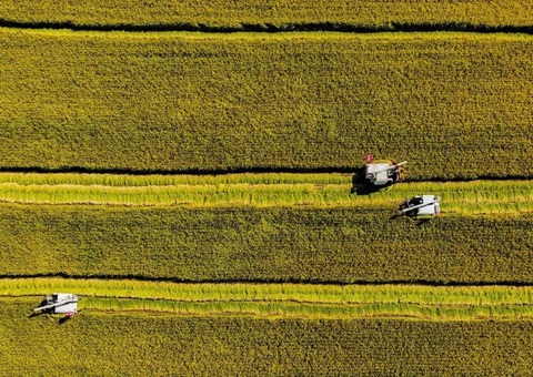 辽宁省耕地地力；；そ蛱曜汲鎏
