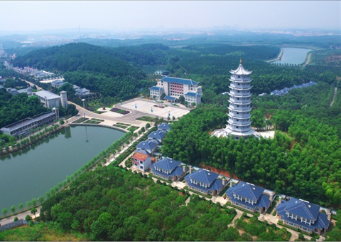 湖北：：：用好“一张图” ，，智治有支持