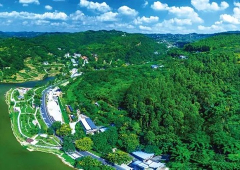 包管重大项目加速落地！！！成都会构建用地用林联动审查机制