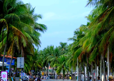 建“清凉城市”，，海南有何“凉方”?