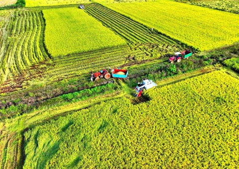 湖北推进高标准农田建设及第二轮土地承包到期再延伸试点事情