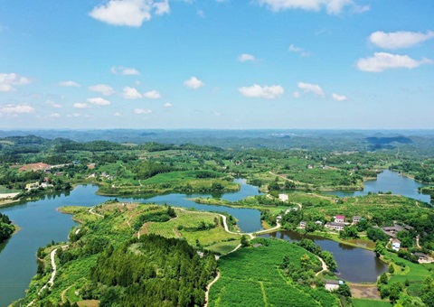 3.25亿吨、估值38.41亿元&nbsp;&nbsp; 四川有这些生态系统碳汇“家底”