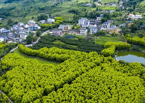 重庆墟落休闲旅游形成点线面立体式开展&nbsp;&nbsp;建设天下休闲农业重点县8个、、中国漂亮休闲墟落90个