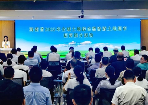 海南举行2025年全域土地综合整治暨土地超市招商推介活动