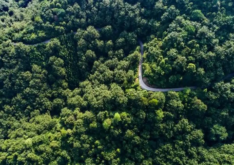 湖南省首例！！！靖州“国有建设用地+VEP”自然资源资产组合项目实现生意