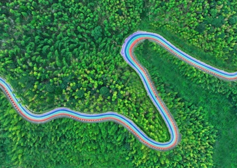 组合供应出新招，，，竹海收益节节高——桃江县“桃花江竹！！！弊匀蛔试醋什楹瞎┯ν贫芳壑凳迪职咐