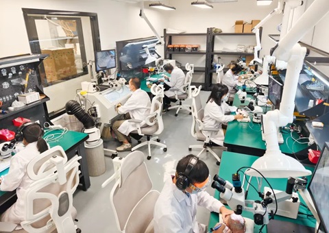 解锁远古“生命档案”！广西首家专业古生物化石修复判断室亮相