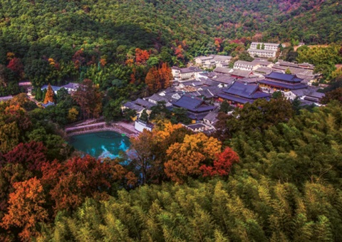 浙江：：：森林公园生态旅游怎样高质量开展？