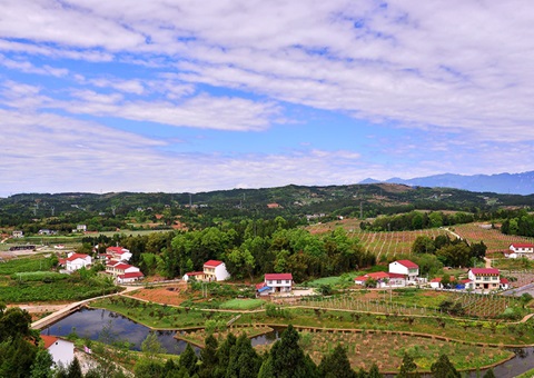 河南：：：2026年年底前实现墟落地区妄想治理全笼罩