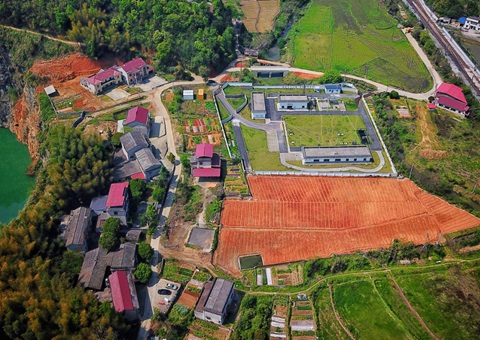 株洲：：：“三链联动”推动耕地耕作层剥离再使用